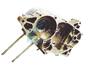 AX 005