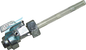 CG 055